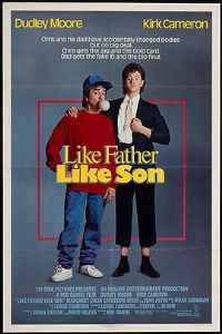 ���丸��������