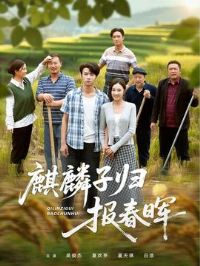 �����ӹ鱨����