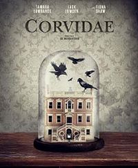 ������ϵ